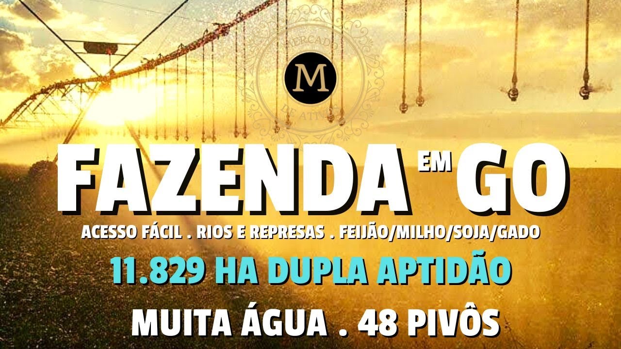 FAZENDA PRODUTIVA DUPLA APTIDÃO EM GOIÁS  11.829 HÁ MUITA ÁGUA E ESTRUTURA ABSURDA - MercadodeAtivos