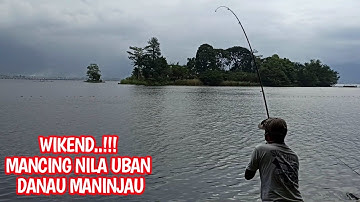 MANCING NILA UBAN / BABON DI DANAU MANINJAU || BUMI MINANG CHANNEL