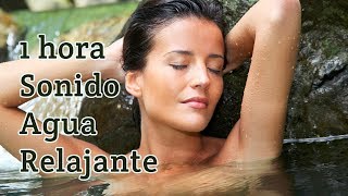 1 HORA SONIDO RÍO AGUA RELAJANTE PARA MEDITACIÓN Y DORMIR