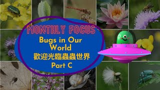 【ABC互動英語：20221103】本月焦點：歡迎光臨蟲蟲世界 Part C