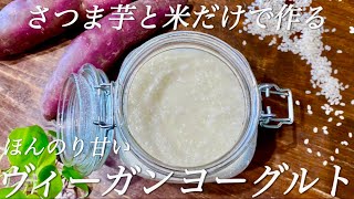 【材料２つ】【温度管理なし】1mlに1億個の乳酸菌が生きている和製ヨーグルト「ミキ」の作り方
