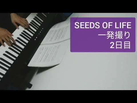 【ピアノ練習記録】SEEDS OF LIFE 【2日目】