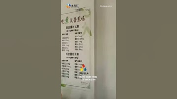 Vẽ tranh biển hiệu chữ bằng máy vẽ tranh tường UV #shorts