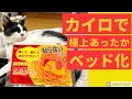 【猫動画】猫の寒さ対策にベッドの中にカイロを仕込んで、安全に極上の暖かベッドにする【iPhone12Proで撮影】