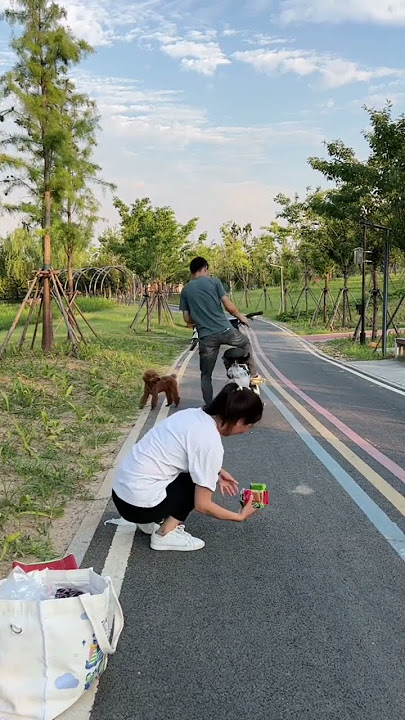 Video terbaik lucu kreatif untuk komedi Part439#shorts #comedy #funny #entertainm