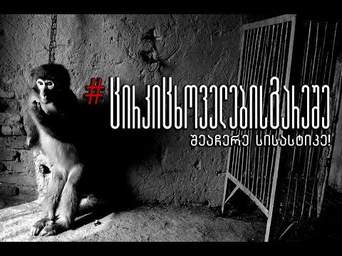 ცირკი ცხოველების გარეშე!