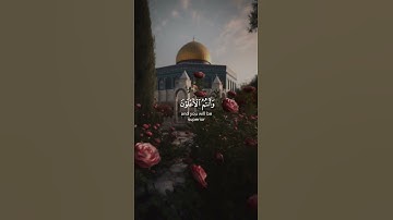 (ولا تهنوا ولا تحزنوا وأنتم الأعلون إن كنتم مؤمنين) القارئ سلمان العتيبي 🤍