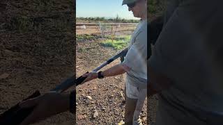 First shot out of my slam shotgun.