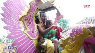 OJO DI BANDINGKE SINGA DANGDUT SUCI PUTRI MUDA || BPK. SURYADI & IBU ESIH || BODAS 18-11-2022