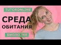 Биология | Среда обитания