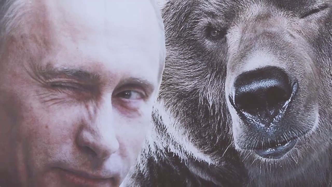 Путин на медведе картинка в хорошем качестве