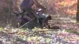 Bashan 1 -=georgy04=-