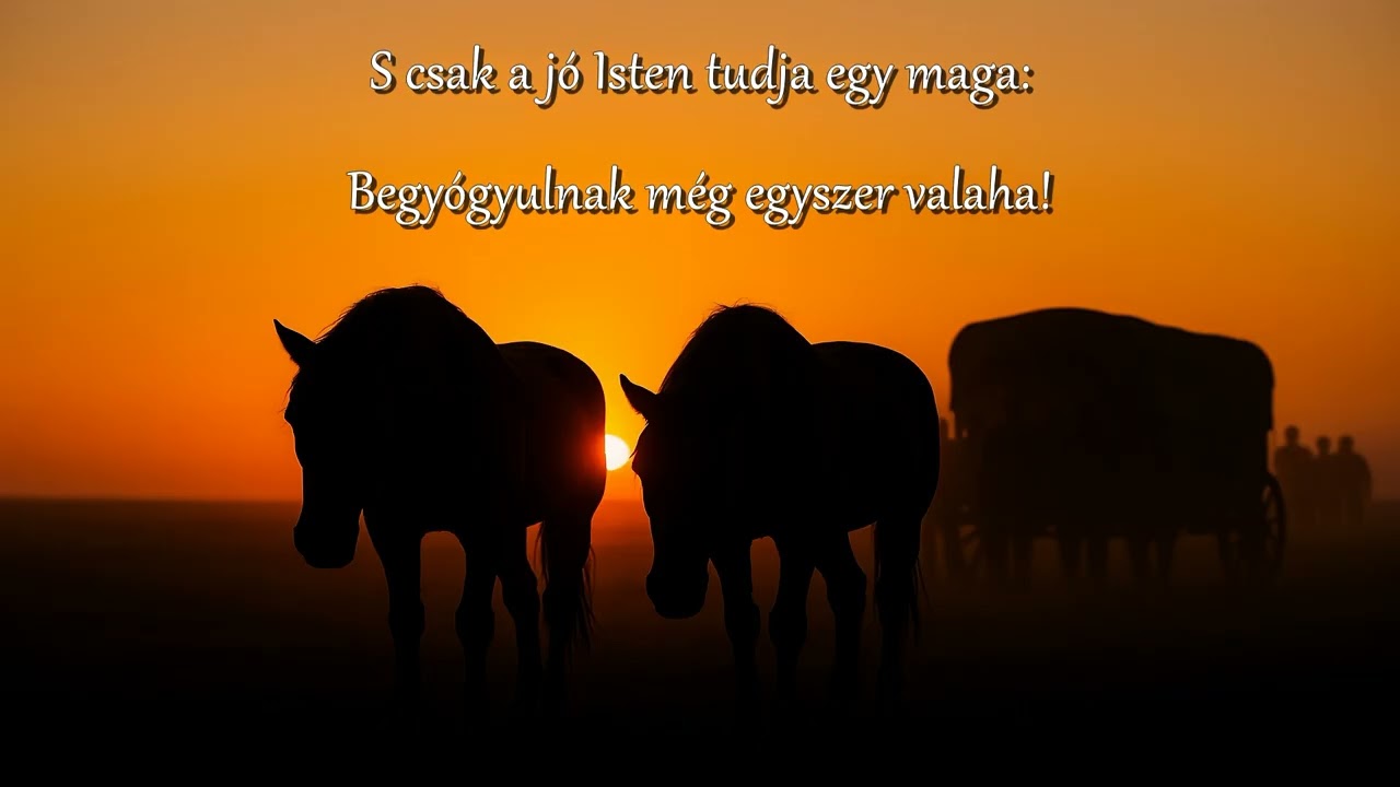 Jakab Ödön - Rokkant lovak : CoverByGaben