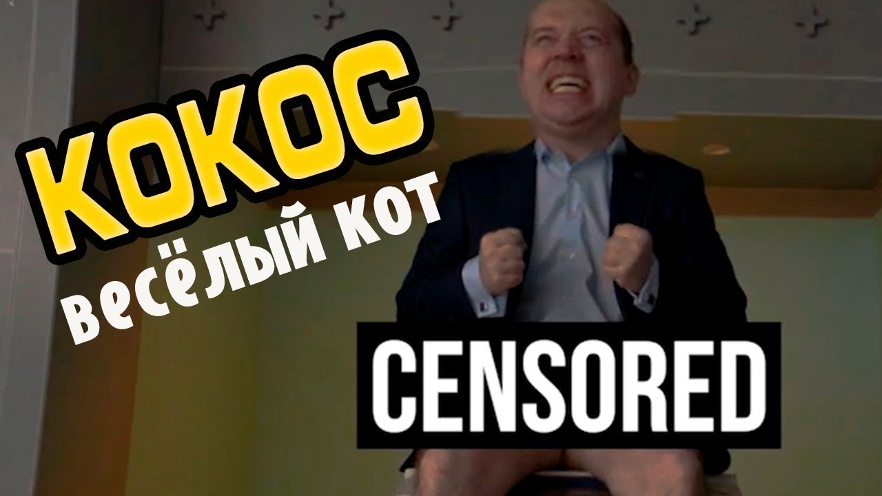 Кот кокос и мышь