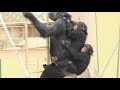 チンパンジー 家族 大騒動 1 Chimpanzee family fuss.かわいい双子姉妹 Cute twin sisters カランコエ リュウ リキ Ryu Riki