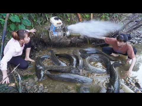 Most Amazing Wild Fishing, Unique Exciting Catch Many Fish With A Large Pump Sucks Water Out Of Lake