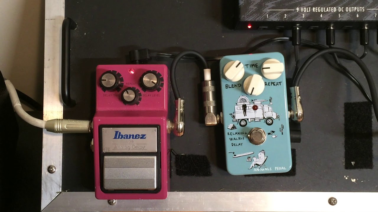 Ibanez AD9 vs Animals Pedal Relaxing Walrus Delay - YouTube