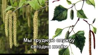 Берёзовый Сок - Виа Песняры -1972  (Subtitles)