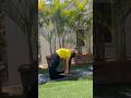 Utakatashana#yoga #twist #yogi #yogachallenge #viral #minivlog #ytshorts #trending #strength