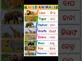 wild animals name odia to english. #wildlife #wildanimals #odiawildanimals #odiaanimal #nowtrending