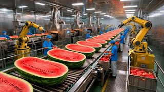 Inside a High-Tech Watermelon Factory: From Whole Melons to Sweet Red Juice (Full Process)