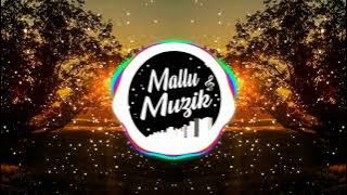 Mast Magan Remix | Dr. Srimix  | Mallu Muzik Official