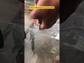 Glass Drilling Hole Glass Work ASMR Shorts ✨🔥 #shorts #asmr #glasswork