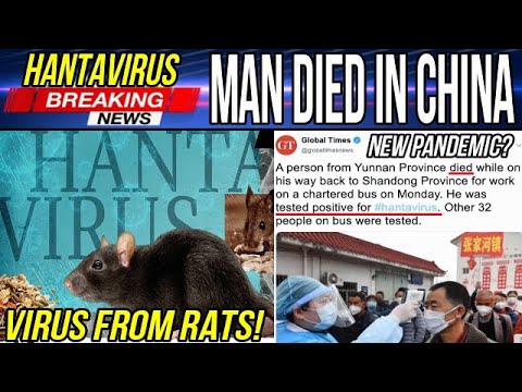 Video: Vad är Hantavirus Som Dödade En Person I Kina Den Här Veckan?