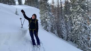 Dec 2, 2022 Remotely triggered avalanche along the 10420 ridgeline
