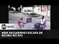 Shorts ladro no perdoa nem passarinho no rio de janeiro