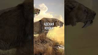 АДСКАЯ КОШКА: САБЛЕЗУБЫЙ ХИЩНИК АМЕРИКИ #shorts #олегстуденец #наука #палеонтология #смилодон