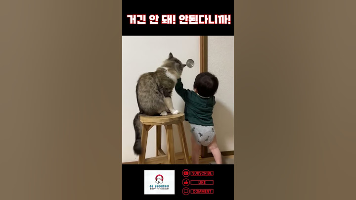 😝문 열어줘 vs 안 돼! #냥이 #아기 #귀여운영상 #귀여운쇼츠