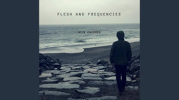 Find What