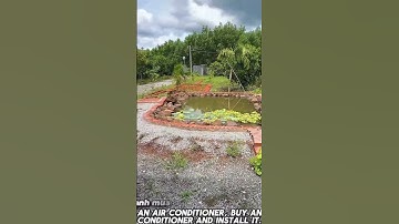 Chị Tâm Cần Tiền Cho Con Đi Du Học Nước Ngoài Cần Bán Gấp Nhà Vườn Trái Cây ,Ao Cá Tuyệt Đẹp #shorts