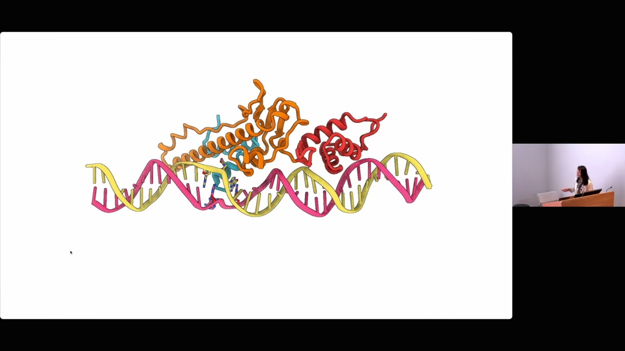 [TALK 2] NGBS2025: Mechanism of DNA opening by molecular motor – Xiaodong Zhang