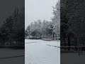 Snowy season in kyrgyzstan