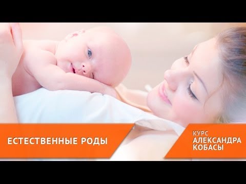 Неонатологическая агрессия [курс ЕСТЕСТВЕННЫЕ РОДЫ]