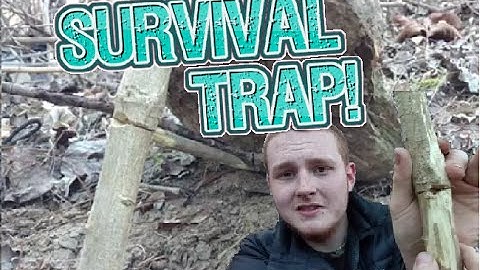 Split Stick Deadfall trap!: Self Reliance