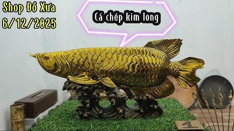 🔴Đồ cổ - Đồ xưa - Đồ đồng xưa. 6/12/2025. #Shopđồxưa #đồcổ #đồxưa #đồđồngxưa #đồđồng #đồcổxưa 