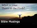 Bible Musings: What is your Thorn in the Flesh?