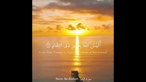 { أليس الله بكاف عبده } تلاوة تريح السمع من سورة الزمر