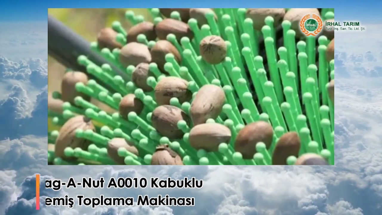 Bag A Nut A0010 Kabuklu Yemiş Toplama Makinası YouTube