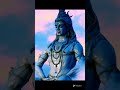 Maha shivratri. # bhakti# trending#shortvideo