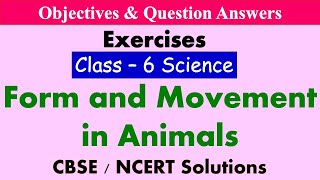 Form and Movement in Animals - Class : 6 Science | Exercises & Question  Answers | - YouTube