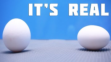 Egg Hack - Stand up egg Experiment (Science experiments for kids) Balance Egg