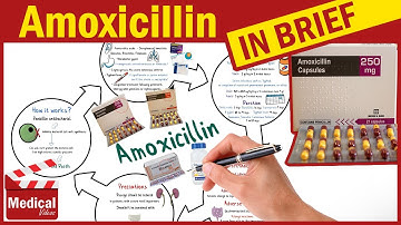 Amoxicillin 500mg Capsule: What is Amoxicillin Used For, Dosage, Contraindications & Precautions?