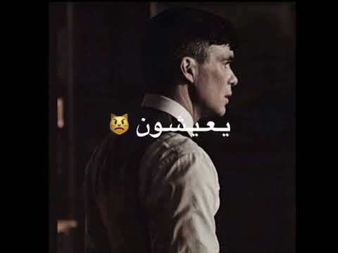 حالات واتس اب توماس شيلبي مهرجانات مصرية اغاني مهرجانات مصرية علي قد ما عشت فيكي توماس شيلبي طارق