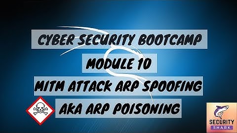 Module 10 | Part 2 | MITM ARP Spoofing / Poisoning (Hindi) | Cyber Security BootCamp