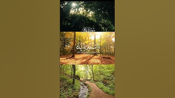 سورة غافر / القارئ #عبدالباسط_عبدالصمد  رحمة الله عليه.               #قرآن قرا#quran