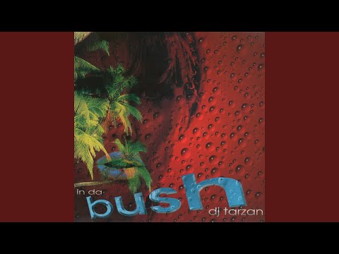 DJ Tarzan — In da Bush (Bbc Mix)